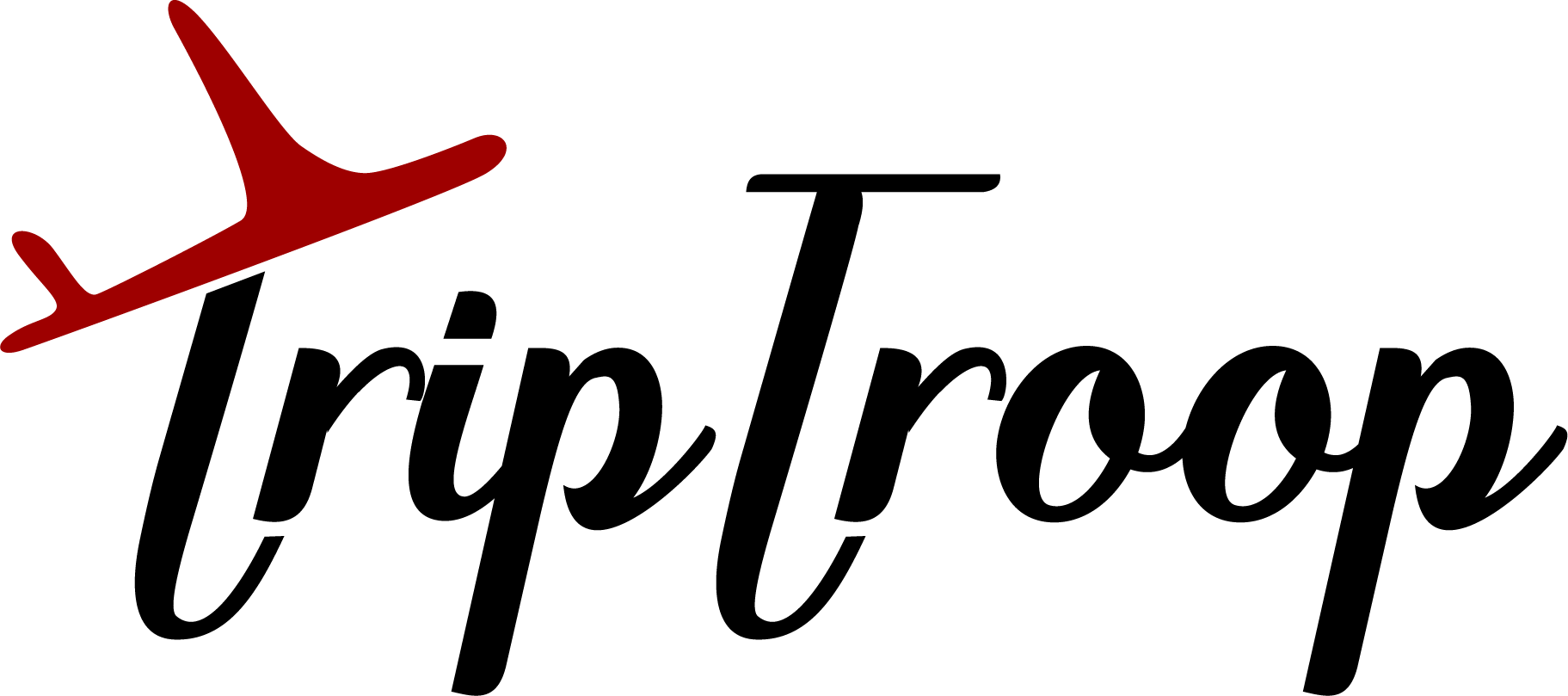 Trip Troop Travels logo